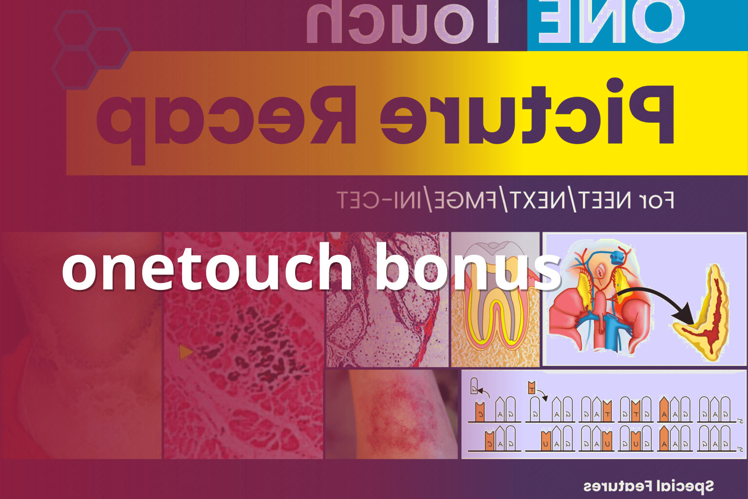 onetouch bonus - gaming_brand