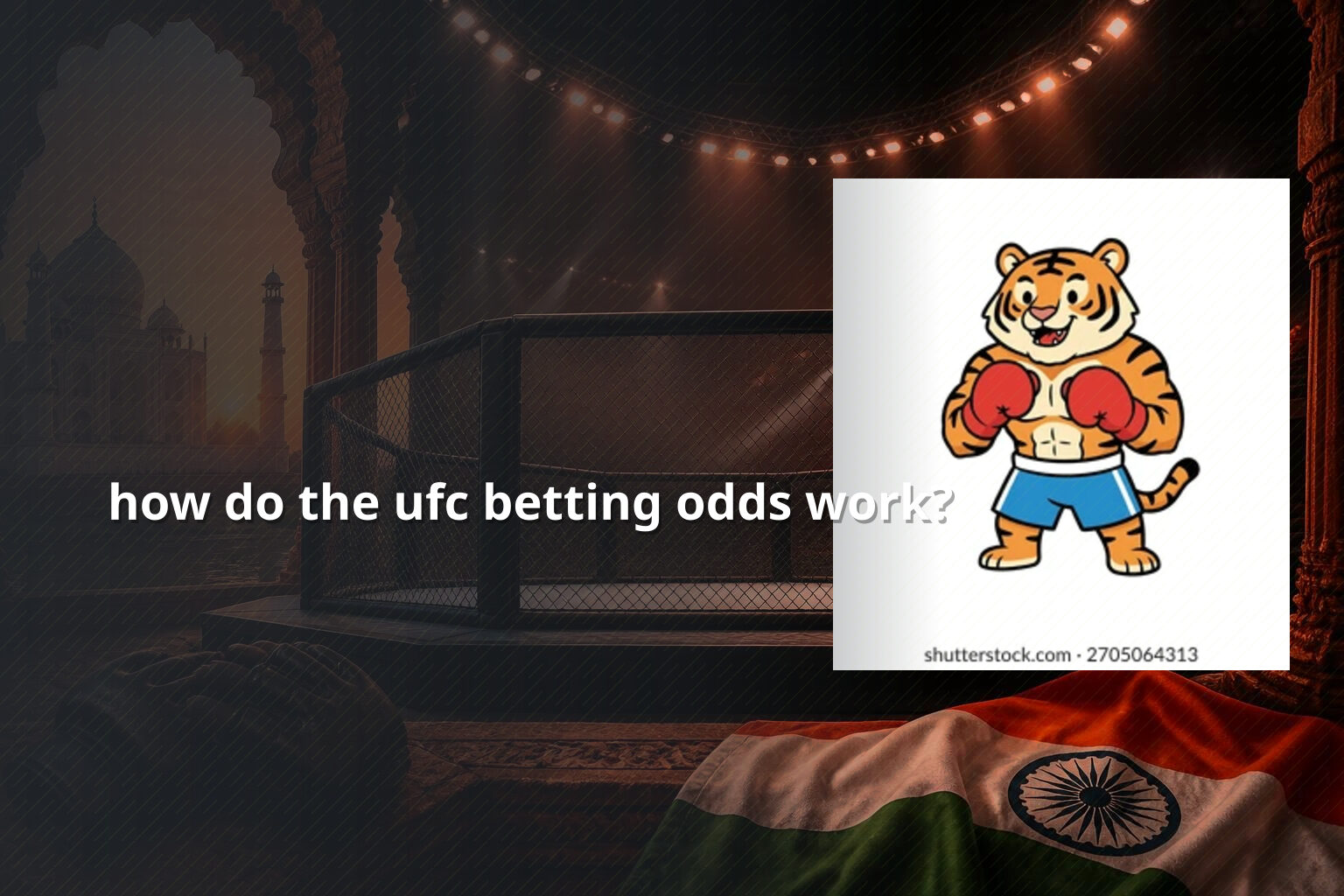 how do the ufc betting odds work? - การพนัน