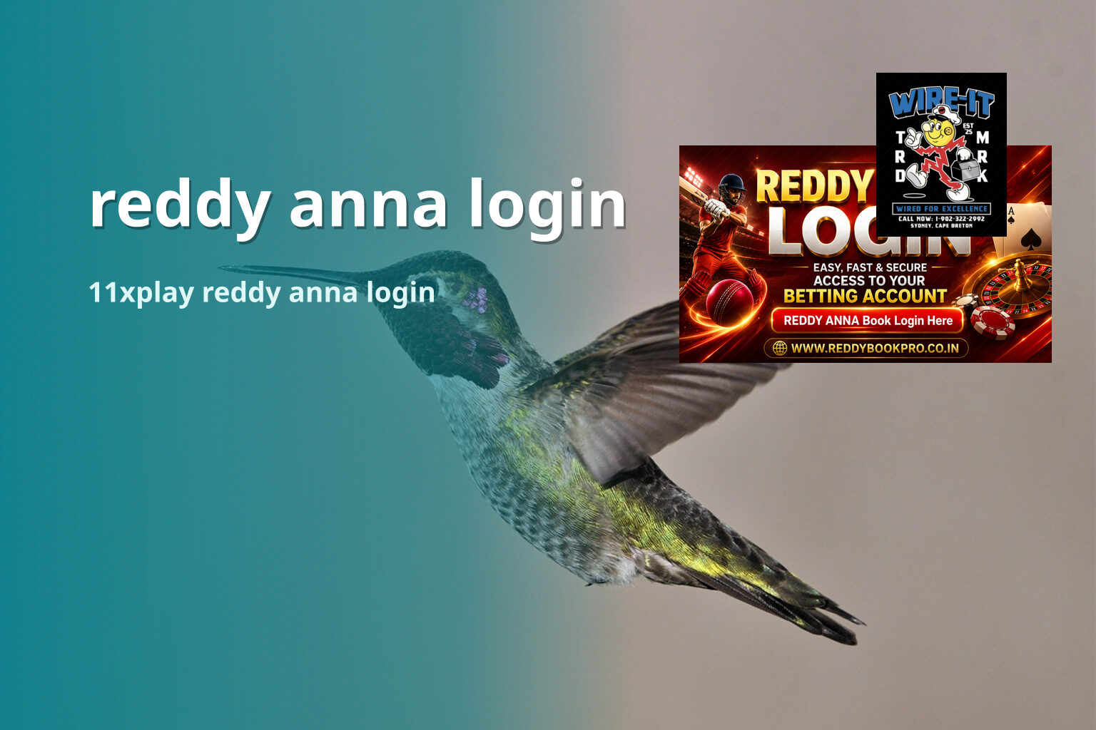 reddy anna login 11xplay reddy anna login
